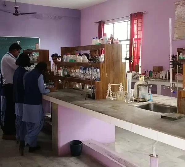 WhatsApp Image 2024-07-29 at 12.47.55 PM